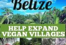 Resort vegano ofrece 3 meses de estadia gratis en Belice