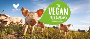 La Campaña Vegana "Veganuary" Llegará A Estados Unidos En 2020 - VEGAYVEGE