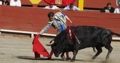 TC no consigue los votos suficientes y continuará las corridas de toros y peleas de gallos en el Perú