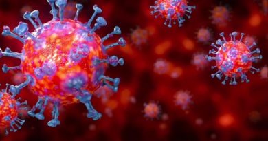 disminur la pandemia del coronavirus