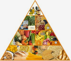 piramide de nutrición vegana