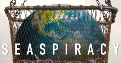 «Seaspiracy»: El nuevo documental de Netflix expone el impacto ambiental de la industria pesquera