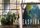 El documental de Netflix «Seaspiracy» inspira a una tienda a dejar de vender pescado